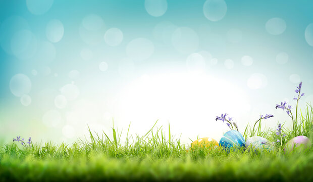 Painted easter eggs in the grass and bluebells celebrating a Happy Easter on a spring day with a green grass meadow and blurred grass foreground and bright blue sunlight background with copy space.