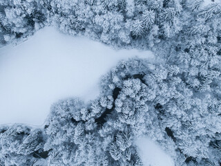 Aerial view of winter landscape with snow covered forest in Switzerland, Europe.