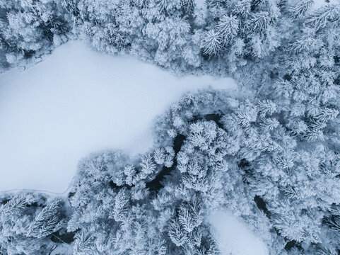 Aerial view of winter landscape with snow covered forest in Switzerland, Europe.