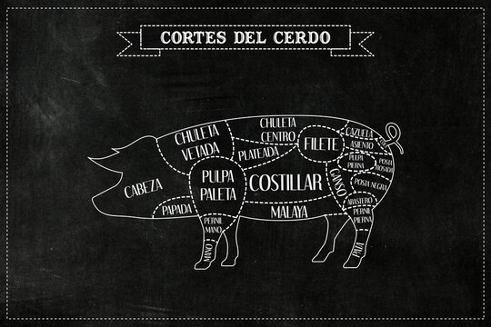 Guía de corte de carne de cerdo