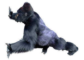 3D Rendering Black Gorilla Ape on White