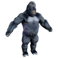 Obraz premium 3D Rendering Black Gorilla Ape on White