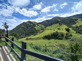Fototapeta na wymiar Paisaje Valle del Cocora, Colombia