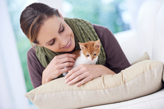 Happy, pet and woman with kitten in home for bonding, friendship and relax together on sofa. Animal care, house and person with adorable, cute and young cat on couch for playing, training and love