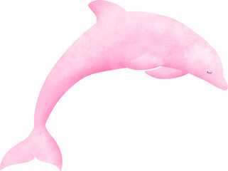 pink dolphin watercolor illustration 