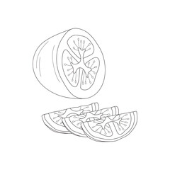 Sliced tomato slices in the style of doodle or line art.