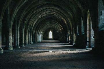 Naklejka premium Fountains Abbey