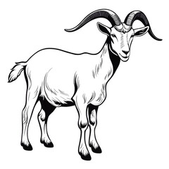 Goat Coloring Book Page Illustration Art On Transparent Background Generative AI.
