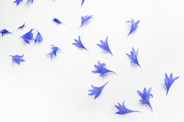 Natural floral background from petals of a cornflower flower. Composition. - obrazy, fototapety, plakaty