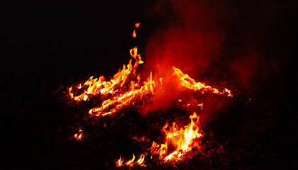 Bright flames rising and moving at dark nigh in blurred background.Orange fire flames.Burning red...