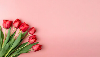 A collection of vibrant red tulips against a soft pink backdrop with tulips at varying stages of bloom, perfect for romantic occasions or elegant designs, spring themes, invitations or decor.