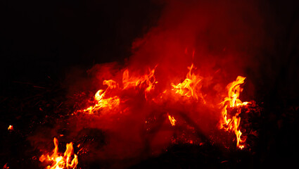 Bright flames rising and moving at dark nigh in blurred background.Orange fire flames.Burning red...