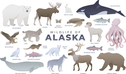 Fototapeta premium Alaskan animals, birds, fish set. Polar bear, lynx, snowy owl, caribou, whale, salmon. Wildlife of Alaska vector illustration. Arctic wild animal collection.