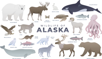 Foto op Plexiglas Alaskan animals, birds, fish set. Polar bear, lynx, snowy owl, caribou, whale, salmon. Wildlife of Alaska vector illustration. Arctic wild animal collection. © Anastasiia Neibauer