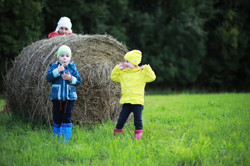 Children go to the forest for mushrooms