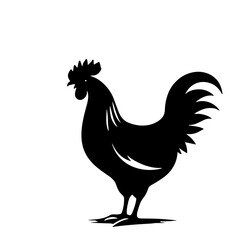 chicken silhouettes vector set