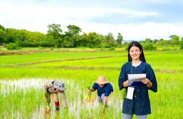 portrait young asian woman local researcher holding clipboard,standing in paddy field,background blurred farmer female working in rice field,concept rice cultivation,rice research