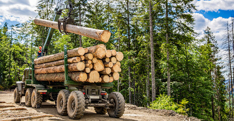 Truck loading wood in the forest. Loading logs onto a logging truck. Portable crane on a logging...