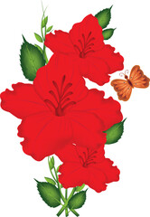 illustration of red hibiscus flower vector design on a white background