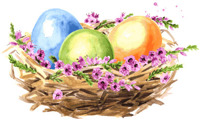 Easter colored eggs and spring flowers. Hand drawn watercolor illustration isolated on white background 