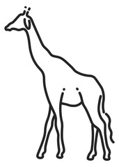 Giraffe line icon. Exotic safari wild animal
