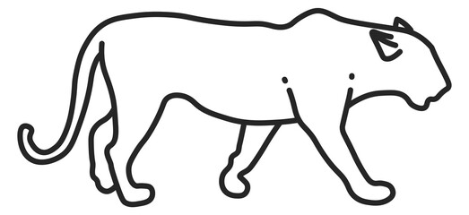 Wildcat line icon. Tiger or jaguar. Feline predator