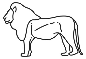 Lion line icon. Wild african predator animal