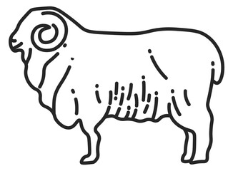 Sheep line icon. Ram symbol. Farm animal