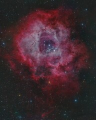 Rosette Nebula in true color