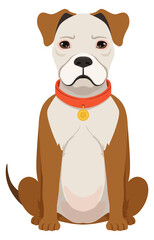 Sitting bulldog. Adorable dog in collar. Pet character