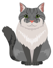 Bobtail cat. Gray fur animal. Fluffy pet