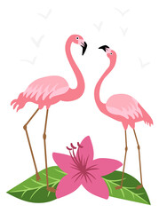 Flamingo pair. Pink tropical romantic summer bird