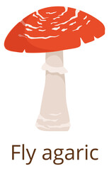 Fly agaric icon. Amanita mushroom. Forest fungus