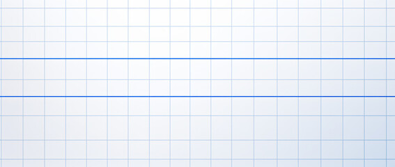 a white paper with blue grid lines, in the style of minimalistic japanese, gray, simple, clean-lined, graph paper grids