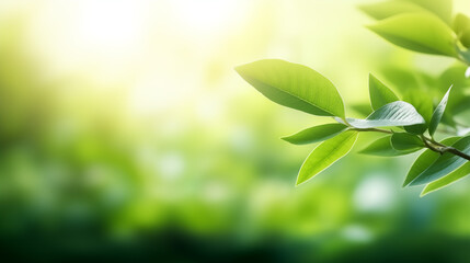 green leaves on a sunny day background, nice blurr focus and flares, perfect for graphic design