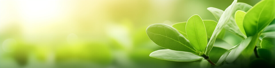 green leaves on a sunny day background, nice blurr focus and flares, perfect for graphic design - Powered by Adobe