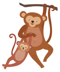 Monkey with baby hanging from tree. Cute jungle animals