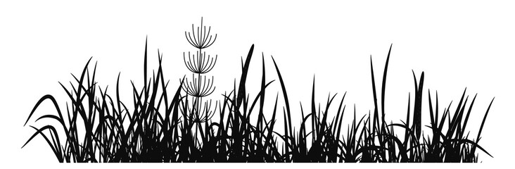 Meadow plants silhouette. Black grass horizontal border