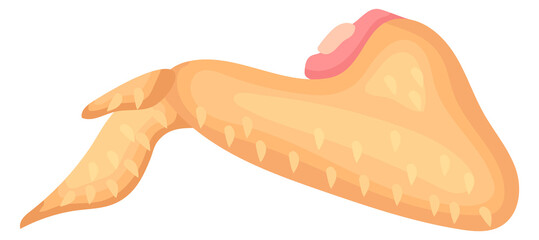 Chicken wing. Raw poultry meat. Uncooked food