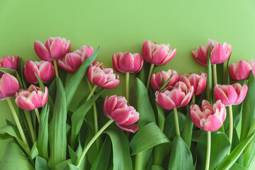 Bouquet of pink tulips on green background. Anniversary celebration concept. Copy space. Top