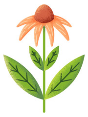 Fototapeta na wymiar Daisy flower on green branch. Natural botany element