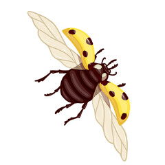 Colorful winged insect yellow ladybug.Vector graphics.
