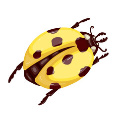 Colorful winged insect yellow ladybug.Vector graphics.