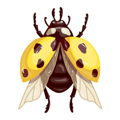 Colorful winged insect yellow ladybug.Vector graphics.