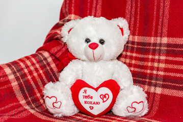 White teddy bear toy with a red heart