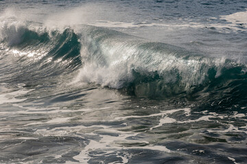 Fototapeta premium 2023-canarie-2023