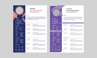 Professional resume curriculum template layout