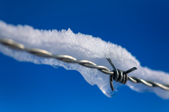 Barbed wire covered with ice crystals in winter. Short sharp spikes set at intervals along it used to make cattle fences or in warfare as obstruction. Snow covered wire contrasting with blue sky.
