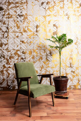 a green wooden armchair on the background of a golden wall with a live palm tree. a ready-made photo zone in the photo studio. a photo zone with a soft armchair and a live flower