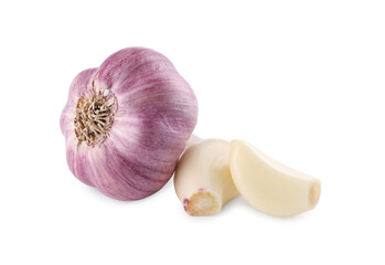 Head of fresh garlic and cloves isolated on white